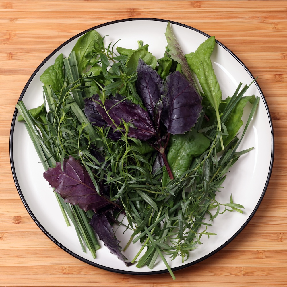 Persian Herbs 1